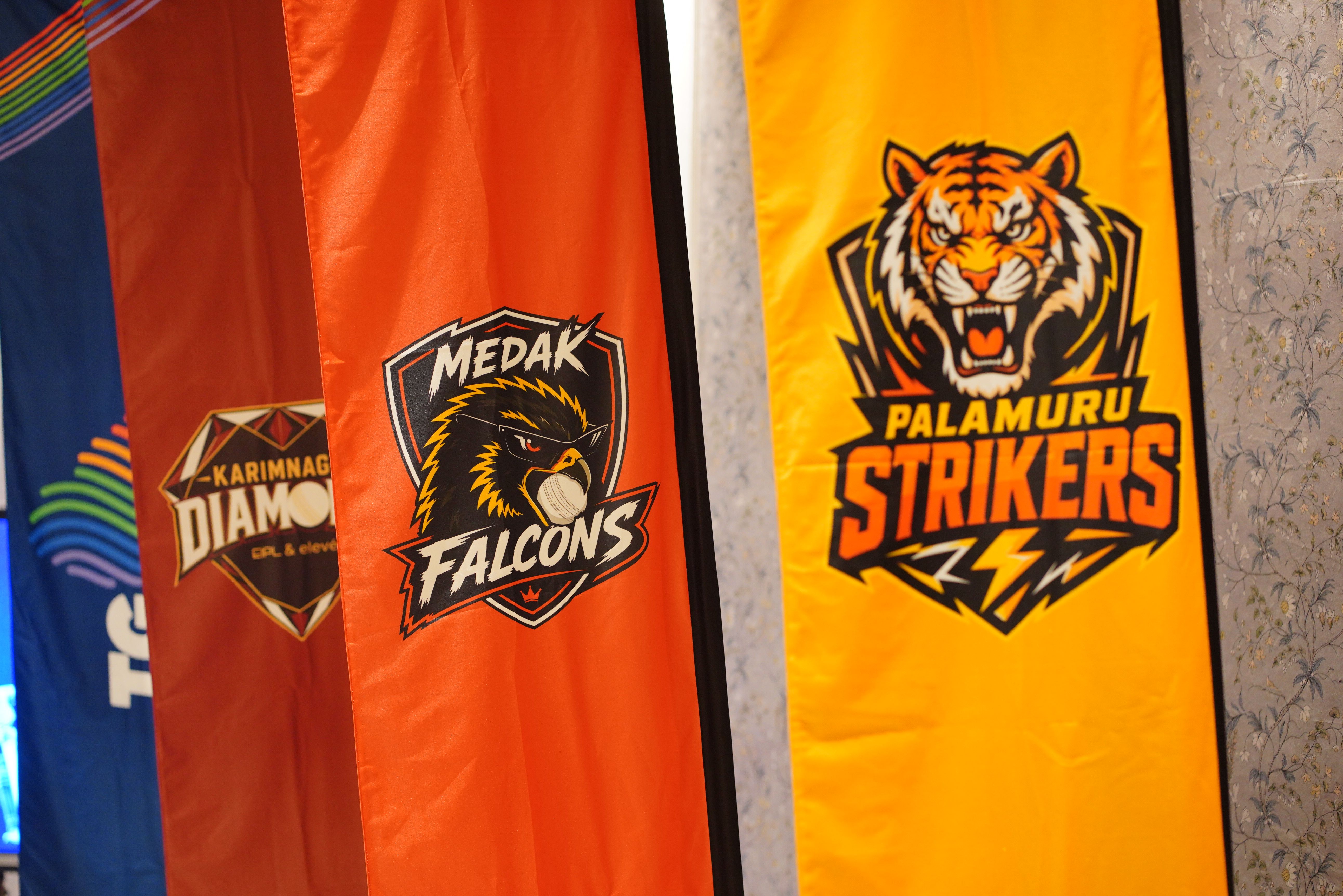 Team flags
